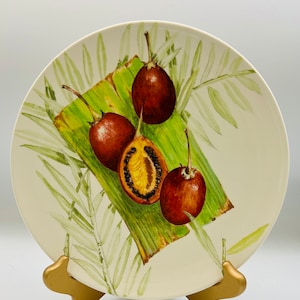 Vintage Gien Exotic Fruit Tamarille porcelain Ceramic 9” Dinner Plate