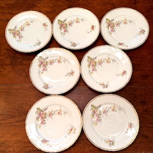 Antique D & C Limoges Floral Porcelain Plates - Set of 7