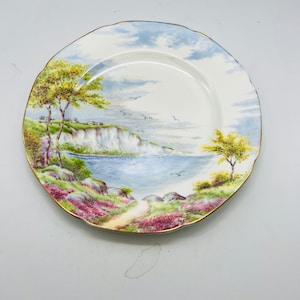 Vintage Paragon Porcelana Hueso China Placa Acantilados de Dover