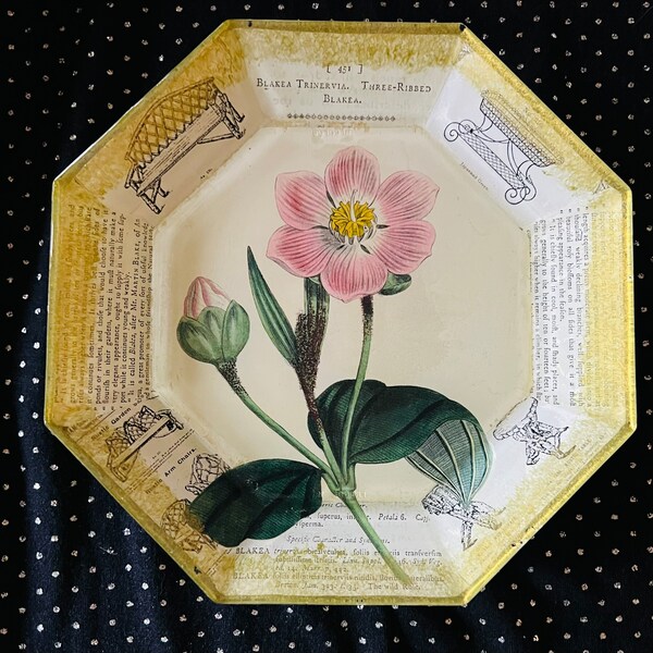 Botanical Plates - Etsy