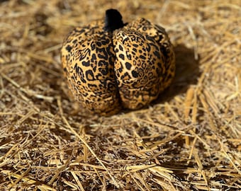 May include: A decorative pumpkin with a leopard print pattern. The pumpkin is made of fabric and has a black stem. It is sitting on a bed of straw, creating a fall-themed display.
