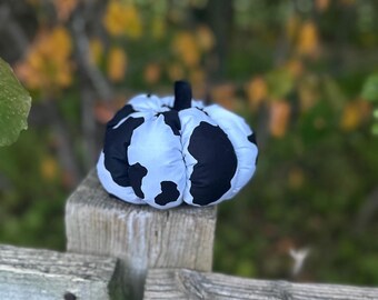 May include: A stuffed fabric pumpkin featuring a black and white cow print pattern. The pumpkin has a rounded, segmented shape with a small, solid black stem at the top center. The fabric has a smooth texture and is filled to create a plump appearance.