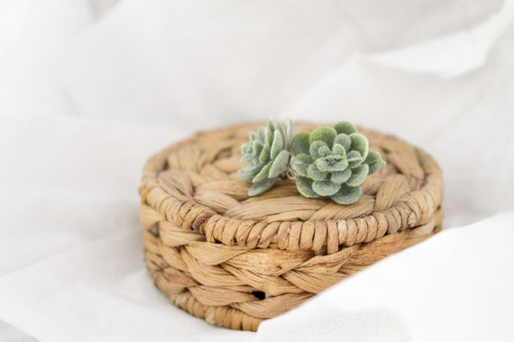 Green Succulent Stud Earrings | Echeveria | Nickel Safe | Plant Lover Botanical Floral Boho Nature Earrings