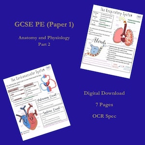 Peut inclure: Un téléchargement numérique de 7 pages de notes d'étude de GCSE PE sur les systèmes respiratoire et cardiovasculaire. Les notes comprennent des diagrammes des poumons, du cœur et de la circulation sanguine.