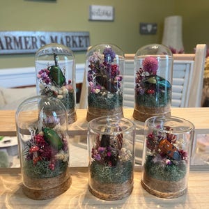Insect Bug Beetle Cloche Dome Diorama Terrarium Glass Bell Jar Display with Dried Flowers - Choose your favorite!