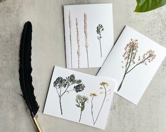 Pressed Flower Stationery Set (15 Cards + Envelopes) | Wildflowers Wheat Purple Flowers Yellow Berries Simple Aesthetic Cards Stationery