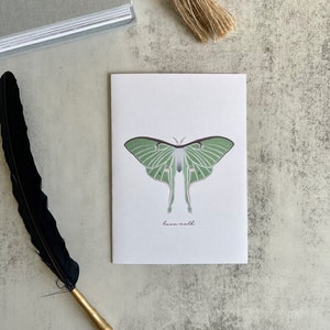 With Love, Luna Greeting Card (Single or Set of 5 + Envelopes)