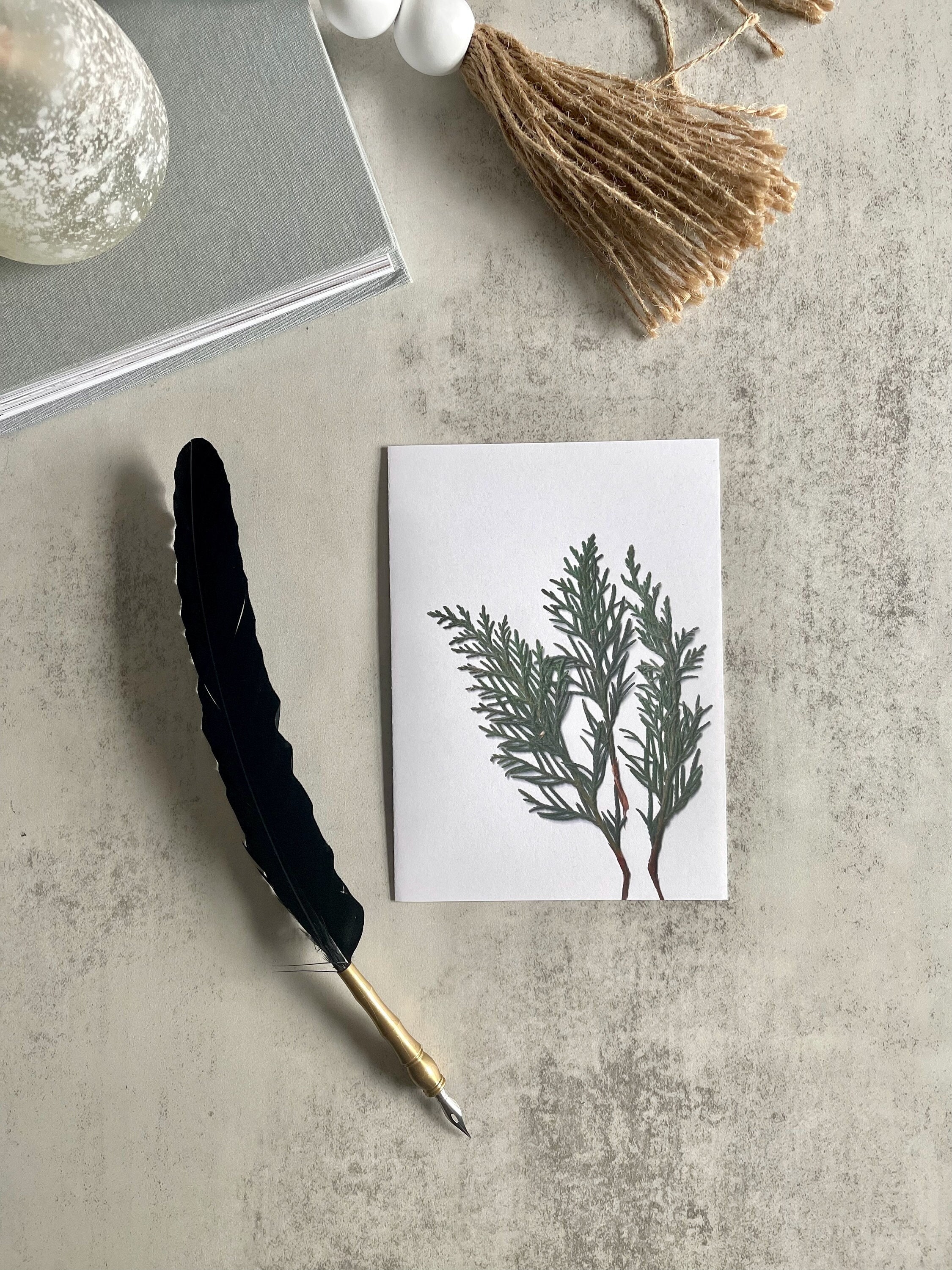 Pressed Cedar Greeting Card (Single or Set of 5 + Envelopes) | Pine, Pine Needle Pressed Pine Stationery Greeting Cards Aesthetic