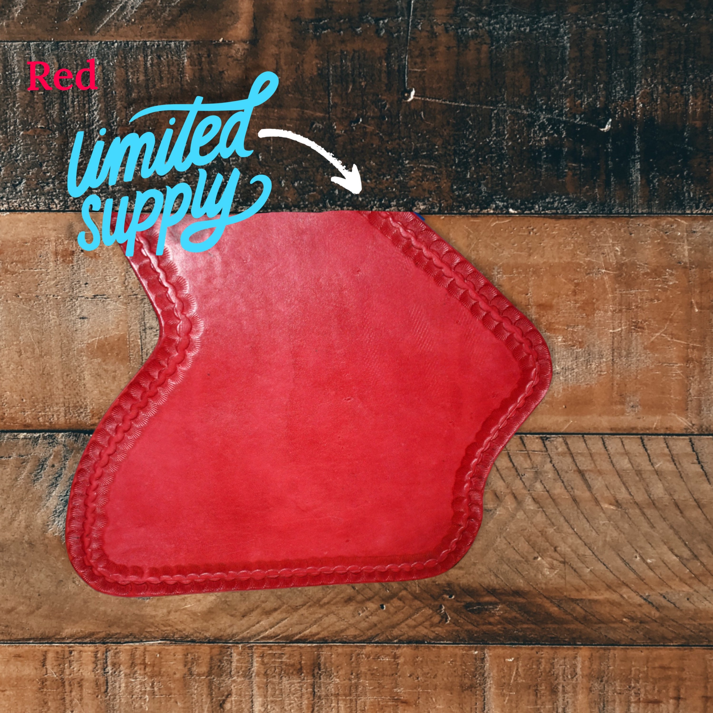 Indian Motorcycle Heat Shield