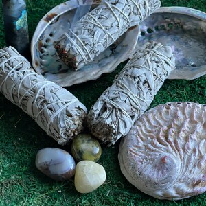 Sage Abalone Bundle / Ethically Sourced White Sage / All Natural Sage Stick / Ritual Cleansing / Abalone Shell / Sage & Abalone Set