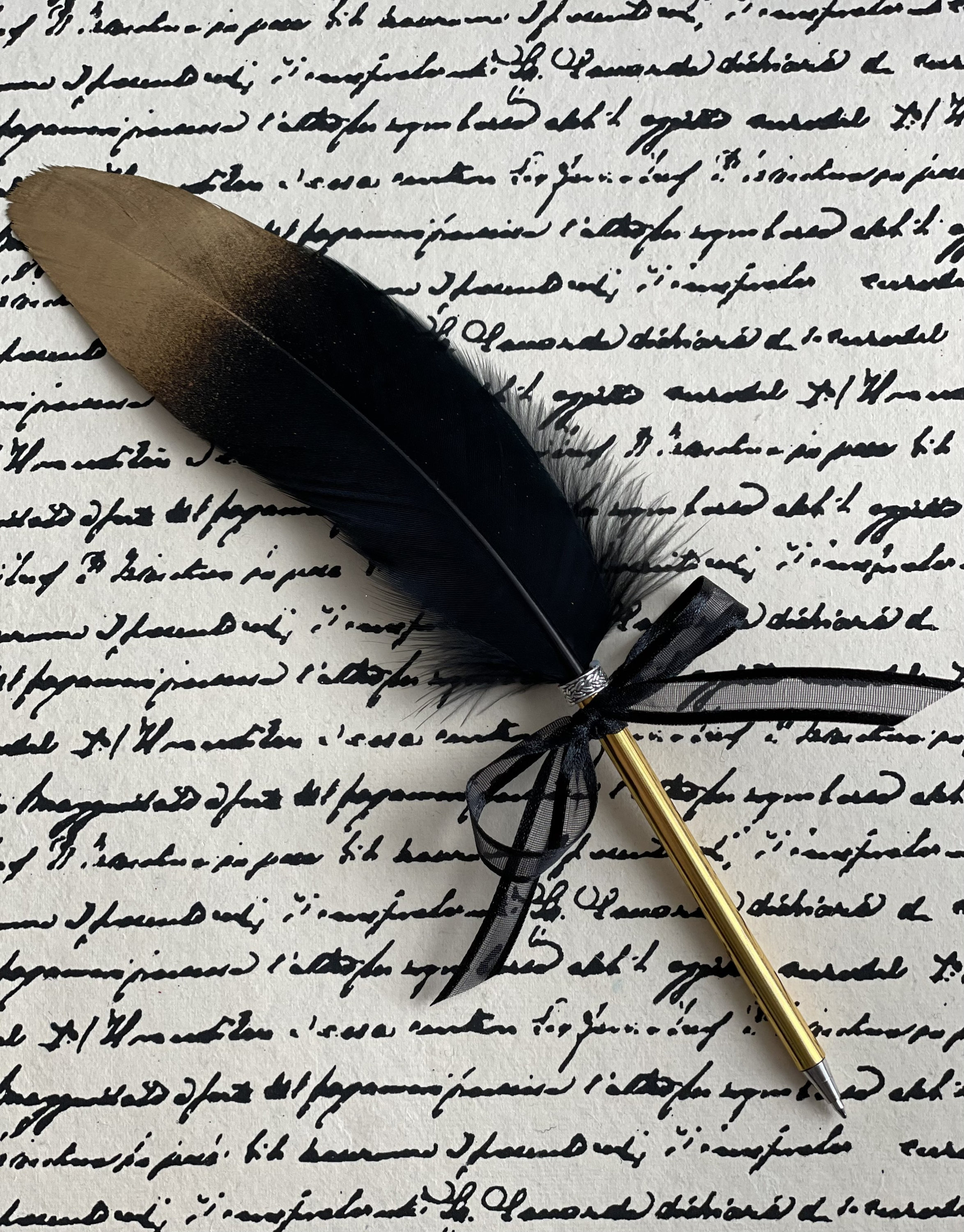 Quill pen, Black  Museum Webshop - Museum-webshop