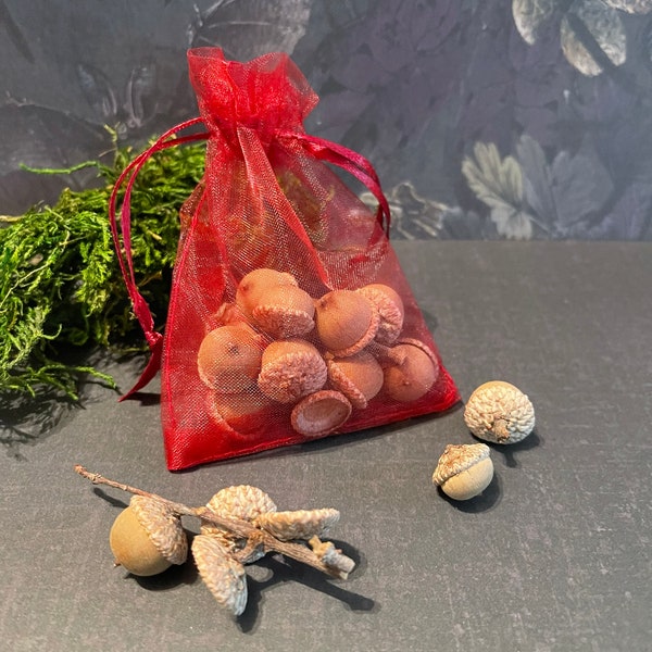 Natural Acorns / 13 Acorns / Small and Medium Blend / Bakers Dozen / Holiday Decor / Spells / Oak Tree Acorns / Christmas Decor / Yule Decor