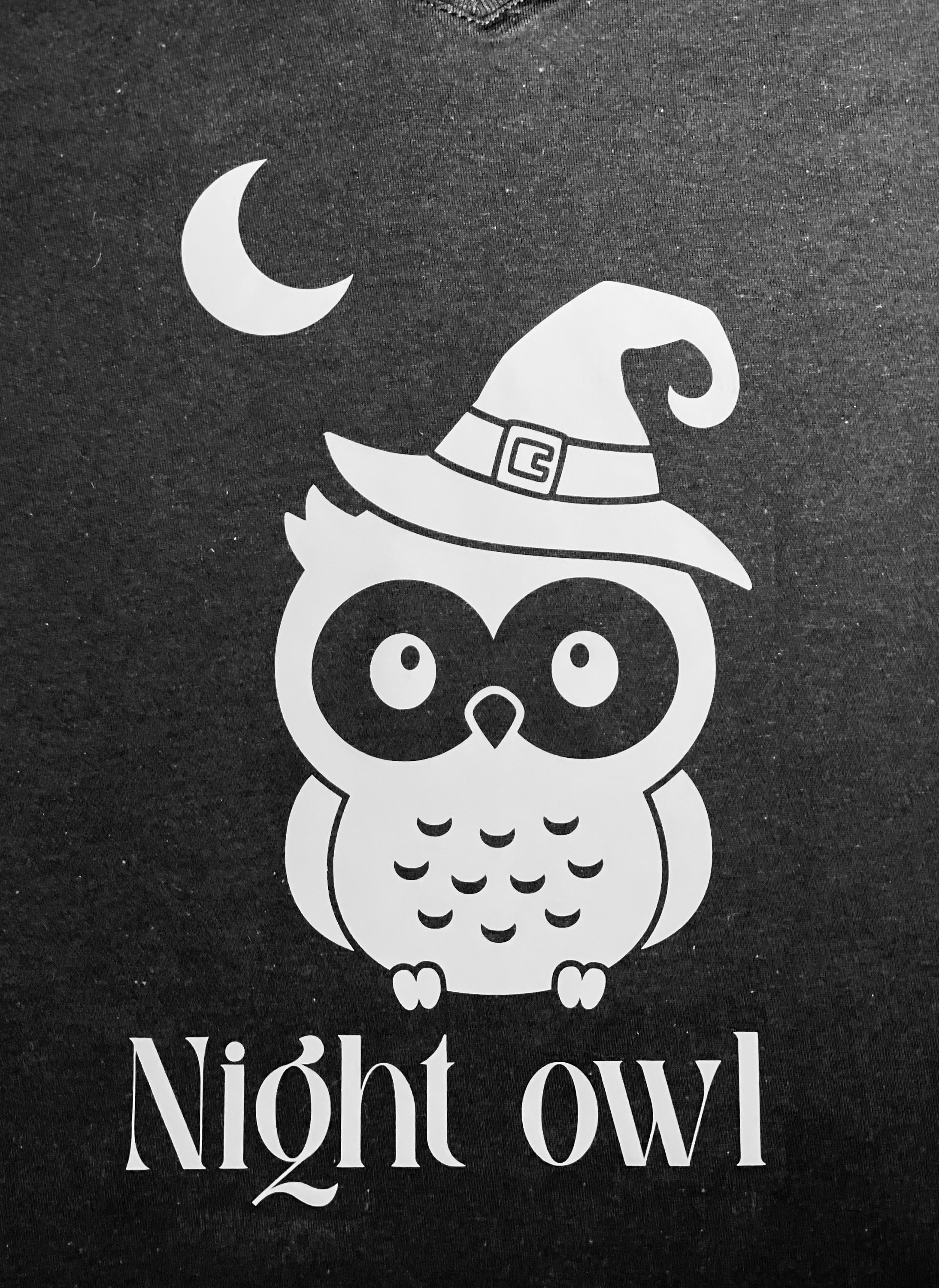 Cottagecore Tshirt / Night Owl With Moon / Witchy Shirt / Womens Mens Tshirt / Vneck / Crewneck / No