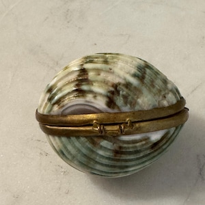 May include: A small, oval-shaped trinket box crafted from a natural seashell with a polished, variegated surface featuring shades of green, brown, and white. The two halves of the shell are joined by a hinged, antique-toned brass metal frame.