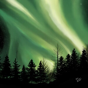 Borealis Forest