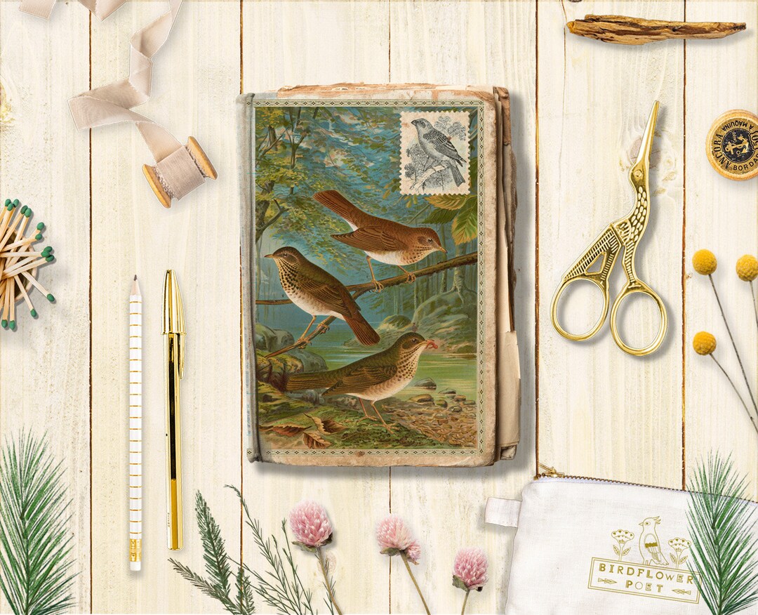 Birds Junk Journal Kit With Printable Letter Size Pages - Etsy