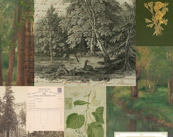 Puede incluir: Un collage de imágenes vintage que presenta una escena de bosque con ciervos, una carta escrita a mano, una ilustración botánica de una hoja y un diseño floral con detalles dorados. El texto "BirdFlower Poetry" es visible en la esquina inferior derecha.