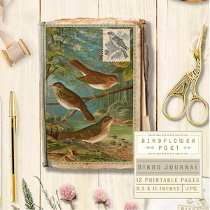 Birds Junk Journal Kit with printable letter size pages, ephemera, bird art, collage, DIY