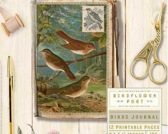 Puede incluir: Una portada de diario imprimible de estilo vintage con una ilustración de acuarela de tres pájaros posados en una rama en un entorno de bosque. La portada también incluye el texto "Birdflower Poet" y "Birds Journal" con detalles sobre las páginas imprimibles, el tamaño y el formato.