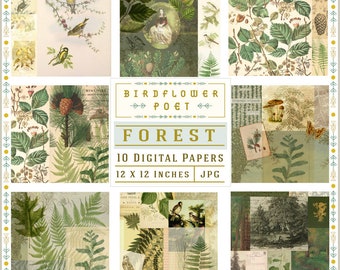 Forest Printable Scrapbook Paper With Leaves, Ferns, Trees