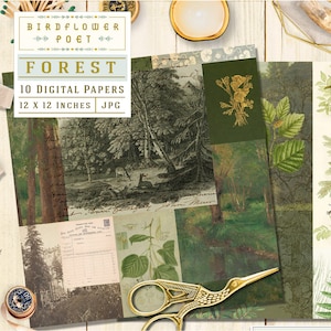 Forest Printable Scrapbook Papier mit Farnen, Bäumen, Pilzen, digitalen Papieren von Birdflower Poet