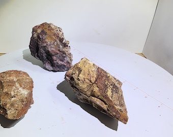 Gold specimens in Quartz