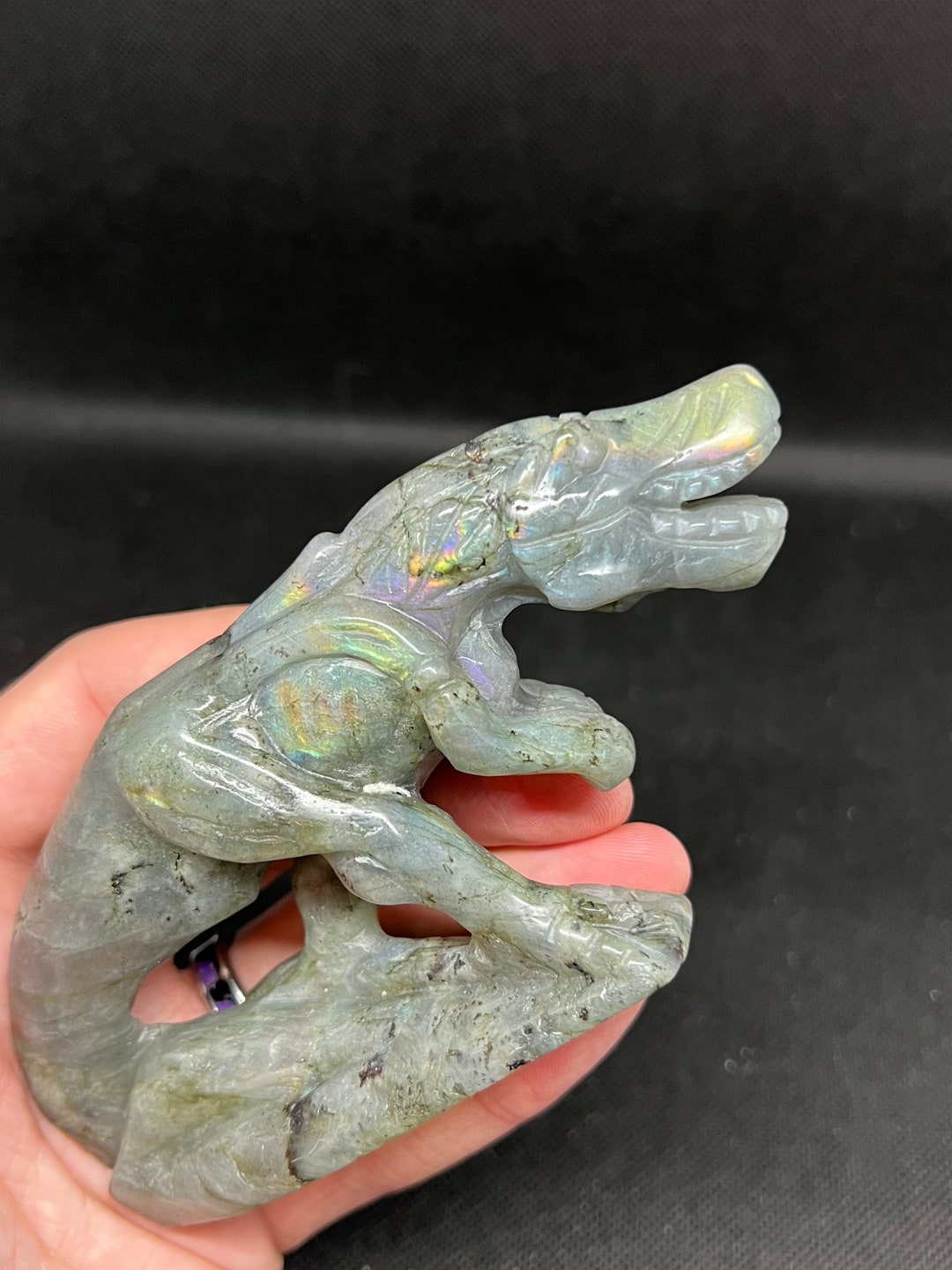 Labradorite T-rex or Spinosaurus Dinosaur Crystal Figure - Etsy
