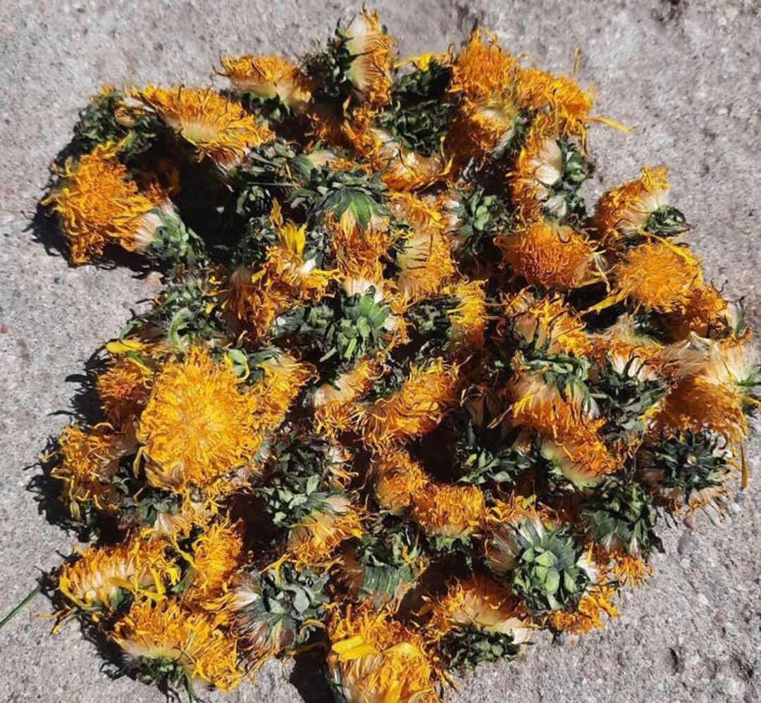 Dried Dandelion Flower Tea BIO Organic Herbal Teas Medical Etsy