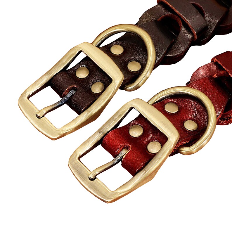 Engraved Dog Collar Custom Dog Collar Leather Dog Collar Etsy