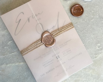 UNPERSONALISED SAMPLE Luxury blush modern wedding invitations