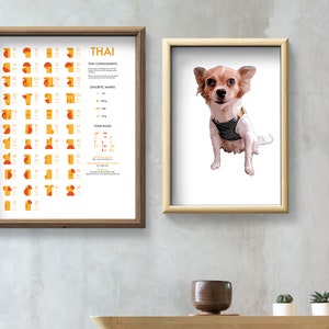 May include: Two framed prints on a light gray wall. The print on the left is a chart of the Thai alphabet with the title "THAI". The print on the right features a small, brown and white chihuahua wearing a striped vest.