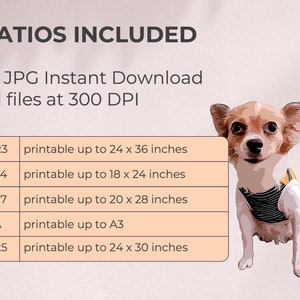 May include: A table showing different aspect ratios for digital images, with the text "RATIOS INCLUDED" at the top. The table lists five different ratios, each with the corresponding printable size in inches. The text "5x JPG Instant Download All files at 300 DPI" is also included. A cartoon image of a chihuahua dog is shown on the right side of the table.