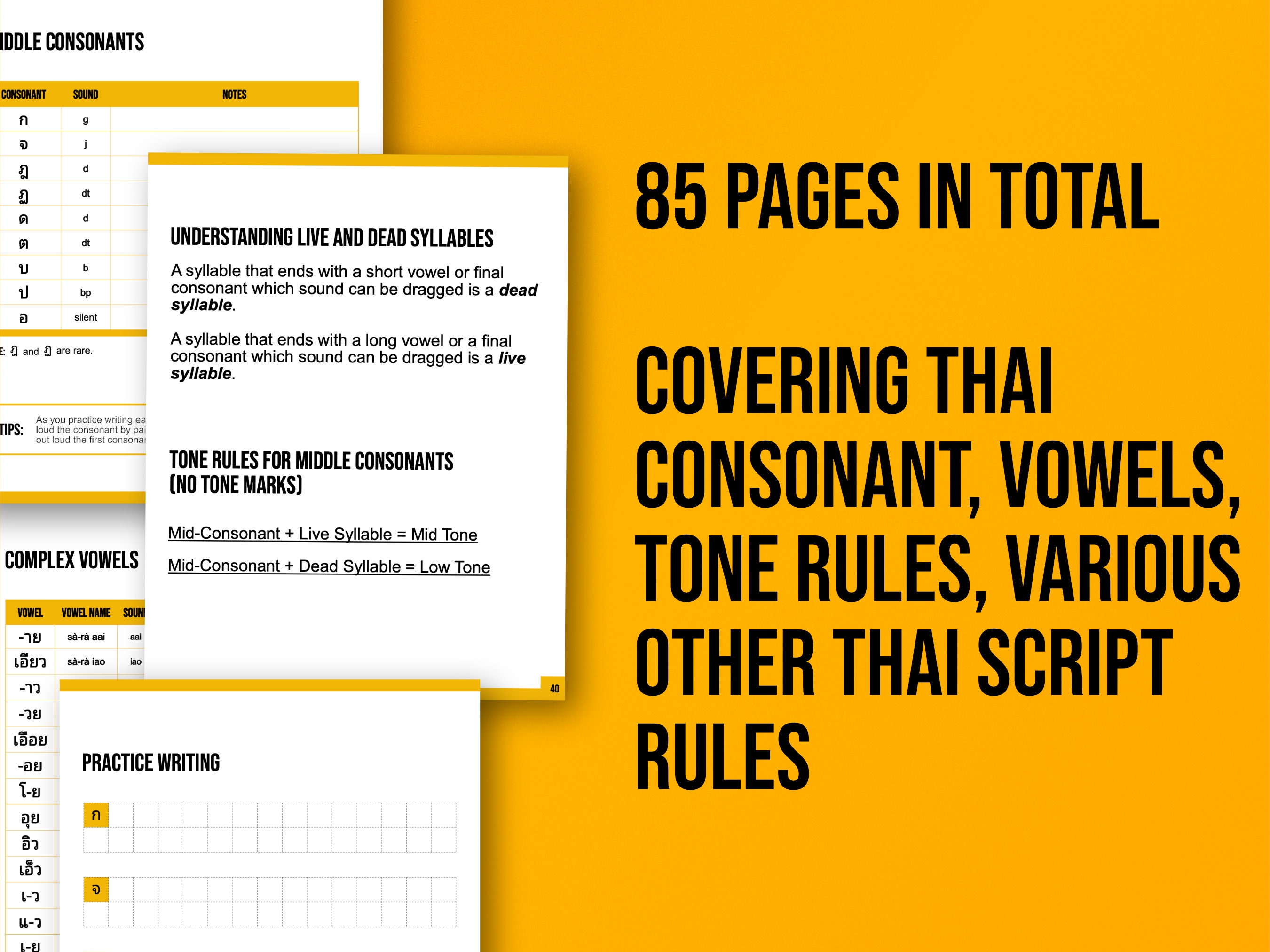 Gthai Script Thai Script Practice Workbook: Learn Consonants & Vowels (digital ...