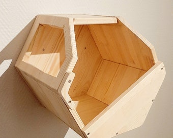 Hexagonal wooden wall module for cats