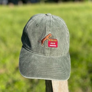 Könnte beinhalten: Eine grüne Baseballkappe mit einem gestickten Bild eines Dackels, der auf eine rote Schachtel mit weißen Streifen springt. Die Schachtel ist mit "Treats" beschriftet.