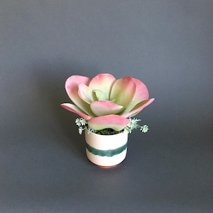 Faux echeveria plant in a ceramic pot; Succulent arrangement