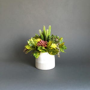 May include: A white ceramic planter with a textured surface holds a variety of green and yellow plants, including succulents and cacti.