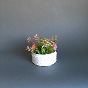 Peut inclure: Un pot en céramique blanche avec une surface texturée, rempli d'une variété de succulentes et de plantes artificielles.