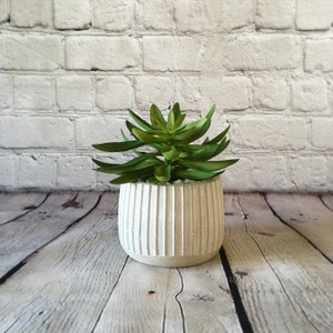 May include: A white ceramic planter with a ribbed texture, featuring a green succulent plant.