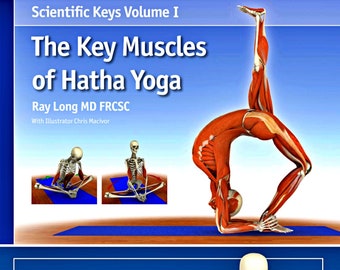 37 Seiten Muskeln Anatomie Physiologie Hatha Yoga, Wissenschaft von Hatha eBook, Anatomie des Menschen Wissenschaft, Muskel-Knochen-Anatomie-Wissenschaft Digitaler Download