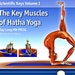 see more listings in the Livres de yoga section