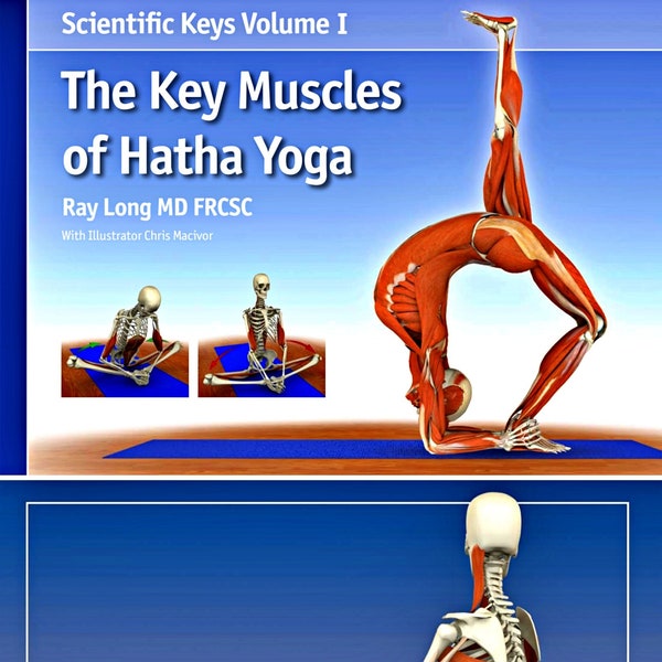 37 pages Muscles Anatomy Physiology Hatha Yoga, Science of Hatha eBook, Human anatomy science, Muscle Bone Anatomy Science Digital Download