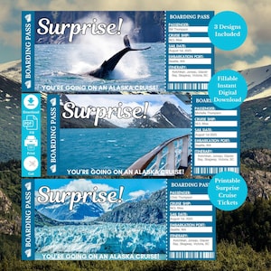 Alaska Cruise Ticket Bordpass, druckbare Kreuzfahrttickets, Überraschungsgeschenktickets, sofortiger digitaler Download PDF, Cruise Ticket Vorlage