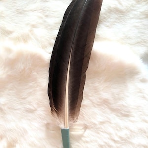 Smudge fan 2 feathers