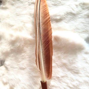 Smudge fan 2 feathers