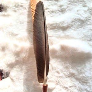 Smudge fan 2 feathers