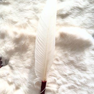 Smudge fan 2 feathers