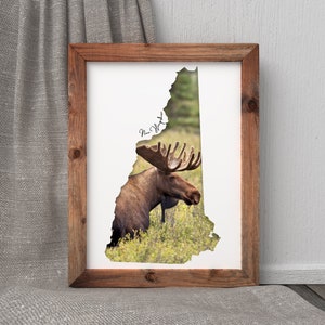 Elch Wand Kunst Karte Druck | New Hampshire Home Decor | Druckbare Tierfotografie | New England Landscape Sticker | Erdige Töne Dekor