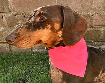 Hot Pink - Handmade Pet Bandana with Charitable donation on every order