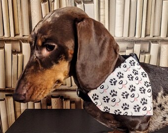 Dogs Paw Eyes - Pet Bandana - Handmade Pet Bandana with Charitable donation on every order